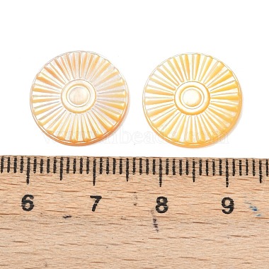 Natural Yellow Shell Carved Cabochons(SSHEL-B006-01A-A)-3
