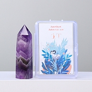 Point Tower Natural Amethyst Healing Stone Wands, for Reiki Chakra Meditation Therapy Decos, Hexagonal Prisms, 50mm(PW-WG51681-01)