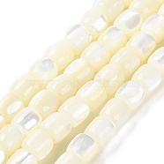 Natural Trochus Shell Beads Strands, Barrel, Floral White, 5.5x5.5mm, Hole: 1mm, about 69pcs/strand, 15.55''(39.5cm)(BSHE-E030-05B)