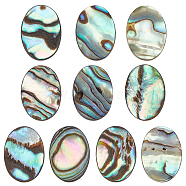 10Pcs Natural Paua Shell Cabochons, Oval, 14x10x1.5mm(FIND-BC0005-55)