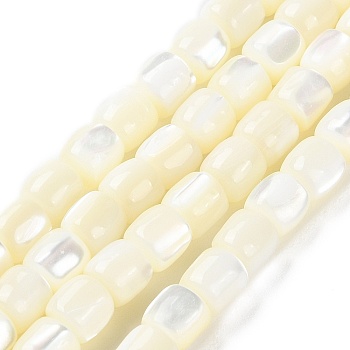 Natural Trochus Shell Beads Strands, Barrel, Floral White, 5.5x5.5mm, Hole: 1mm, about 69pcs/strand, 15.55''(39.5cm)