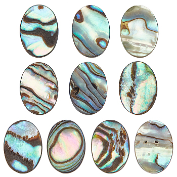 10Pcs Natural Paua Shell Cabochons, Oval, 14x10x1.5mm