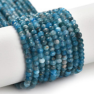 Natural Apatite Beads Strands, Faceted, Rondelle, 3x2mm, Hole: 0.8mm, about 190pcs/strand, 15.55''(39.5cm)(G-G155-A01-01)