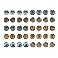 Glass Cabochons, Half Round/Dome with Animal Eye Pattern, Mixed Color, 19.9x6.3mm, 10 colors, 4pcs/color, 40pcs/box(GLAA-SZ0001-03)