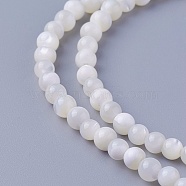 Natural Shell Beads Strands, Round, 3.7~4.5mm, Hole: 0.8mm, about 103pcs/strand, 15.86 inch(40.3cm)(X-SSHEL-E571-39-4mm)