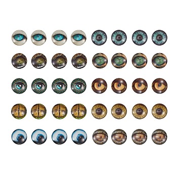 Glass Cabochons, Half Round/Dome with Animal Eye Pattern, Mixed Color, 19.9x6.3mm, 10 colors, 4pcs/color, 40pcs/box