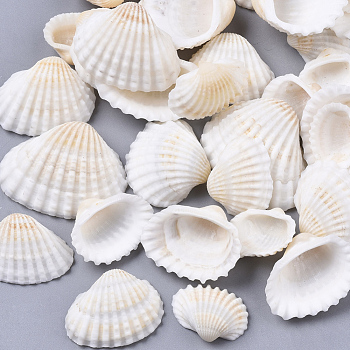 Natural Shell Beads, Undrilled/No Hole Beads, Seashell Color, 12~27x15~35x5~12mm