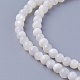 Natural Shell Beads Strands(X-SSHEL-E571-39-4mm)-1