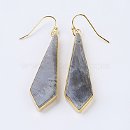 Natural Labradorite Dangle Earrings, with Brass Findings, Golden, Kite, 57~60mm, Pin: 0.7mm(EJEW-P145-03A)