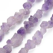 Raw Rough Natural Amethyst Beads Strands, Nuggets, 4~21x4~16x4~16mm, Hole: 1.2mm, about 30~53pcs/strand, 14.57~15.55 inch(37~39.5cm)(G-N0326-028)