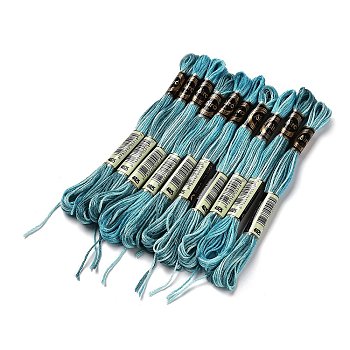 10 Skeins 6-Ply Polyester Embroidery Floss, Cross Stitch Threads, Segment Dyed, Dark Turquoise, 0.5mm, about 8.75 Yards(8m)/skein