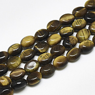 Natural Tiger Eye Beads Strands, Oval, 8x6x4mm, Hole: 1mm, about 49~50pcs/strand, 14.5 inch~14.7 inch(G-S357-B01)