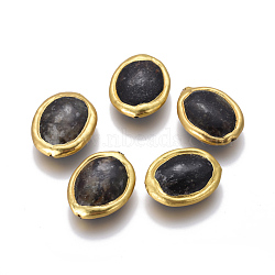 Natural Black Fossil Beads, with Golden Plated Brass Findings, Oval, 23~25x18~20x7~8mm, Hole: 0.8mm(G-F633-14B)