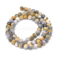 Natural Dyed Persian Jade Gemstone Bead Strands, Round, Goldenrod, 8mm, Hole: 1mm, about 50pcs/strand, 15.7 inch(X-G-R271-8mm-XP26)