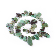 Natural Chrysoprase Beads Strands, Top Drilled Beads, Teardrop, 12~40x9~18x2~6mm, Hole: 0.6mm, about 43pcs/strand, 16.5 inch(42cm)(G-F645-16)