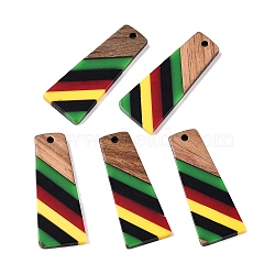 Jamaican Colour Epoxy Resin & Walnut Wood Pendants, Geometric Charms, Trapezoid, 38x15x3.5mm, Hole: 2mm(RESI-N039-122M)