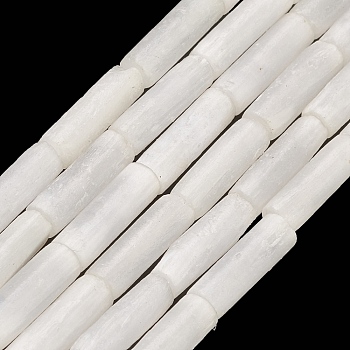 Natural Selenite Beads Strands, Column, 13x4mm, Hole: 1mm, about 31pcs/strand, 15.79''~ 15.87''(40.1~40.3cm)