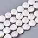 Natural Freshwater Shell Beads Strands(X-SHEL-N026-50A-01)-1