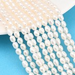 Natural Cultured Freshwater Pearl Beads Strands, Rice, Grade 5A, Beige, 4.3~4.6mm, Hole: 0.5mm, about 69pcs/strand, 15.43''(39.2cm)~15.51''(39.4cm)(PEAR-D003-01D-05)