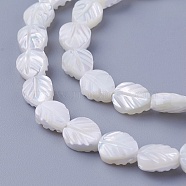Shell Beads Strands, Leaf, 8~8.2x6.2~6.6x3~3.6mm, Hole: 0.7mm, about 49pcs/strand, 15.94 inch(40.5cm)(SSHEL-E571-33)