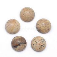 Natural Picture Jasper Cabochons, Half Round, 4x2~4mm(G-P393-R51-4MM)