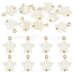 10Pcs Natural Shell Star Pendants, with 304 Stainless Steel Loops, Seashell Color, Ion Plating(IP), Real 18K Gold Plated, 15.5~17.5x12.5~13x3~4mm, Hole: 1.8~3mm(SHEL-TA0001-36)