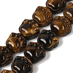 Natural Tiger Eye Beads Strands, Cat's Paw, 16x14x9.5mm, Hole: 1mm, about 13pcs/strand, 7.20''(18.3cm)(G-M108-A09-01)