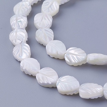 Shell Beads Strands, Leaf, 8~8.2x6.2~6.6x3~3.6mm, Hole: 0.7mm, about 49pcs/strand, 15.94 inch(40.5cm)