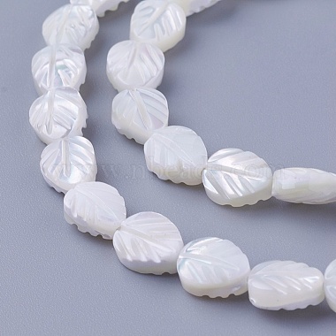 8mm Leaf Other Sea Shell Beads