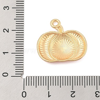 Thanksgiving Day Alloy Enamel Pendants(FIND-Z064-03C)-3