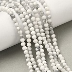 Natural Howlite Beads Strands, Round, Faceted, 3~3.5mm, Hole: 0.7mm, about 63~66pcs/strand, 7.48~7.83''(19~19.9cm)(G-B168-A01-3mm)