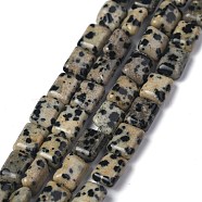 Natural Dalmatian Jasper Beads Strands, Cuboid, 8x5.6~6x2.5~4mm, Hole: 1mm, about 44~52pcs/strand, 14.96~15.74 inch(38~40cm)(G-Z006-B08)
