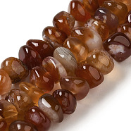 Natural Red Agate Beads Strands, Dyed & Heated, Nuggets, Tumbled Stone, 6.5~12.5x3~8.5x6~12mm, Hole: 0.8mm, about 75~78pcs/strand, 15.63'~16.06''(39.7~40.8cm)(G-NH0017-C01-01)