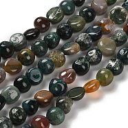 Natural Indian Agate Beads Strands, Nuggets, Tumbled Stone, 7~13x4.5~10x4.5~10mm, Hole: 1.2mm, about 44~46pcs/strand, 15.08~16.14 inch(38.3~41cm)(G-P497-01E-89)