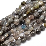 Natural Labradorite Nuggets Beads Strands, Tumbled Stone, 4~8x6~9x5~7mm, Hole: 1mm, about 15.3 inch~15.7 inch(G-J336-08)