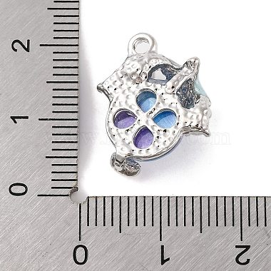 Alloy & Resin Pendants(FIND-G081-01B-P)-3