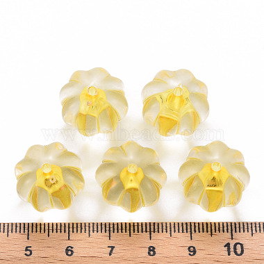 Perles en acrylique transparente(TACR-S154-19A-81)-4