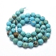 Natural Howlite Beads Strands(X-G-D0012-01C)-2