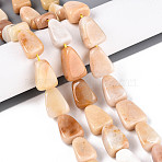 Natural Topaz Jade Beads Strands, Triangle, 13~20x10~14x6.5~10mm, Hole: 1~1.2mm, about 21~23pcs/strand, 14.37~15.16 inch(36.5~38.5cm)(G-N354-02B-01)