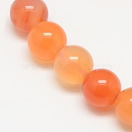 Natural Carnelian Beads Strands, Round, 6mm, Hole: 1mm, about 62pcs/strand, 14.5 inch(X-G-N0006-6mm-17)