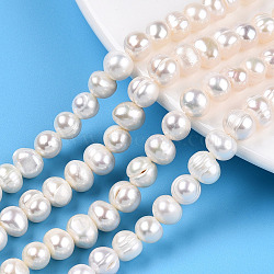 Natural Cultured Freshwater Pearl Beads Strands, Potato, Seashell Color, 6.5~9x6.5~7.5mm, Hole: 0.6mm, about 52~54pcs/strand, 13.58~13.98 inch(34.5~35.5cm)(PEAR-N013-06K)