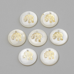 Freshwater Shell Pendants, Flat Round & Elephant, Golden, 16x3.5~4mm, Hole: 1.2mm(X-SHEL-Q010-012G)