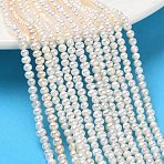 Natural Cultured Freshwater Pearl Beads Strands, Grade 3A, Potato, Beige, 2~3mm, Hole: 0.1mm, about 133~135pcs/strand, 14.96''(38cm)(PA-CBAC463-35)
