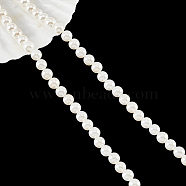 Natural White Shell Beads Strands, Mother of Pearl Shell Bead, Round, Antique White, 6mm, Hole: 1mm, about 65pcs/strand, 15.67''(39.8cm)(SHEL-WH0001-009A)