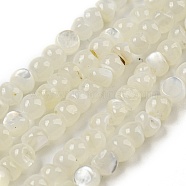 Natural White Shell Dyed Beads Strands, Nuggets, Linen, 2.5~3.5x3~3.5x2~3.5mm, Hole: 0.4mm, about 139pcs/strand, 15.16''(38.5cm)(BSHE-Z005-03G)