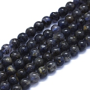 Natural Iolite Beads Strands, Round, 6mm, Hole: 1mm, about 63~70pcs/Strand, 15.35 inch(39cm)(G-E561-16-6mm)