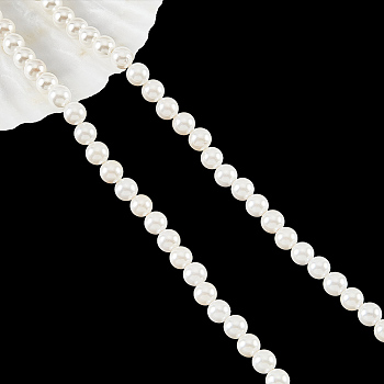 Natural White Shell Beads Strands, Mother of Pearl Shell Bead, Round, Antique White, 6mm, Hole: 1mm, about 65pcs/strand, 15.67''(39.8cm)