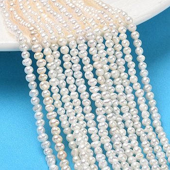 Natural Cultured Freshwater Pearl Beads Strands, Grade 3A, Potato, Beige, 2~3mm, Hole: 0.1mm, about 133~135pcs/strand, 14.96''(38cm)