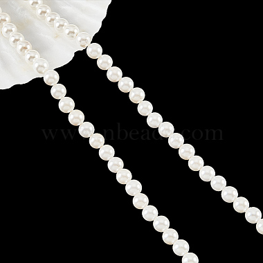 Antique White Round White Shell Beads