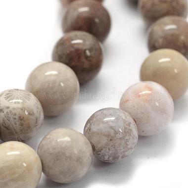 Natural Fossil Coral Beads Strands(G-G763-12-8mm)-3